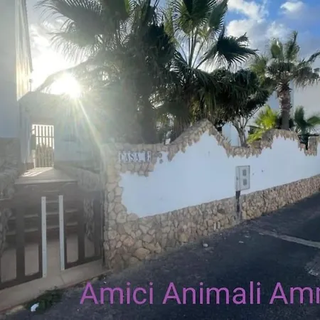 Oasis Apartment Costa Calma