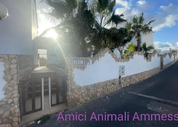 Oasis 公寓 科斯塔卡玛