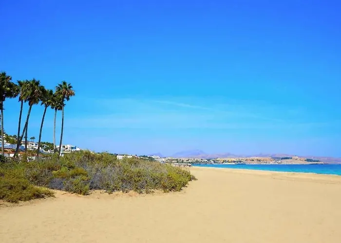 Oasis 科斯塔卡玛