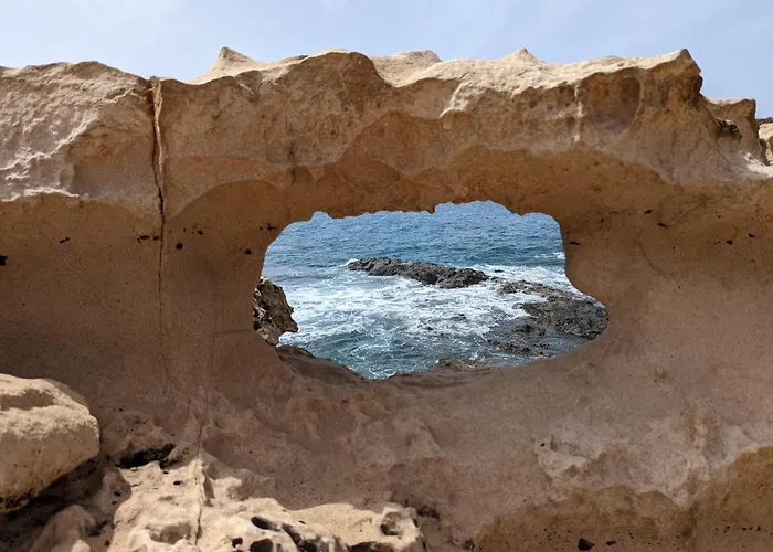 Oasis