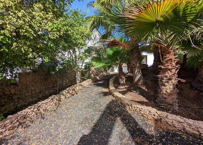 Oasis *