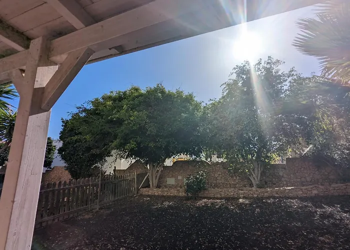 Oasis